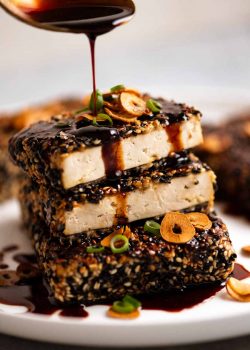 Filetes de tofu con sésamo y teriyaki |  RecetaTin Eats