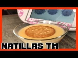 🌕🌕🌕 ¡¡¡ No puede ser más FÁCIL hacer estas NATILLAS !!! 🌕🌕🌕 Con Thermomix TM6 TM5 TM31