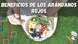 4 Beneficios del Zumo de Arándanos
