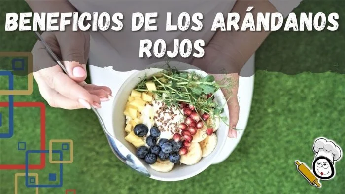 4 Beneficios del Zumo de Arándanos