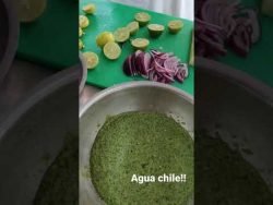 Aguachile!!🇲🇽🧑‍🍳💯🔥🍀 #shorts #youtubeshorts #viral #chef #kitchen #receta #chefprofesional #parati