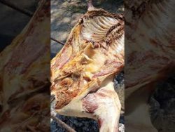 #cabra a la #griega #comida #rancho #elarriero #short #receta #amigos #domingo #familia