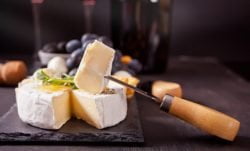 Queso brie vegano, receta para disfrutar de un queso sin leche