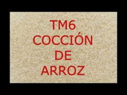 COCCIÓN DE ARROZ CON THERMOMIX® TM6