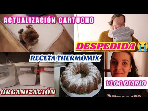 YA SE VA😭|CARTUCHO MEJORA|RECETAS THERMOMIX👩🍳|VLOG DIARIO| #vlogdiario #recetasthermomixtm6 #hogar