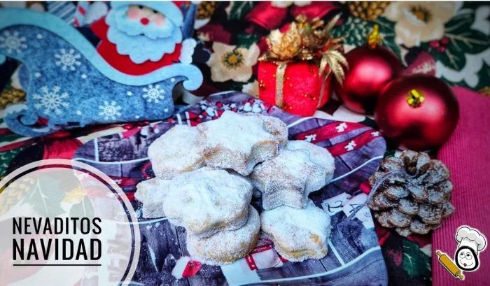 Nevaditos de Navidad con Thermomix ®