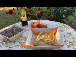Como hacer HUMMUS de LENTEJAS en MONSIEUR CUISINE, THERMOMIX o de manera tradicional