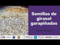 #shorts #receta semillas de girasol garapiñadas