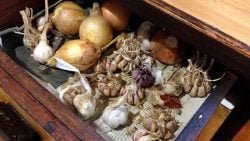 Alimentos a evitar en una celebración