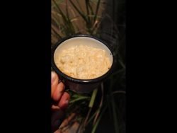 Arroz kesu con poroto manteca 🍚🧀 #shorts #arroz #kesu #poroto #LunesSinCarne #Paraguay #receta #fyp