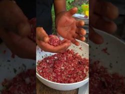 La mejor receta de albóndigas  | Cocinero en proceso
