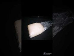 masa para pizza de thermomix super sencilla