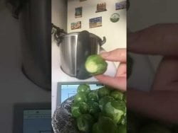 Coles de Bruselas #Receta #Thermomix
