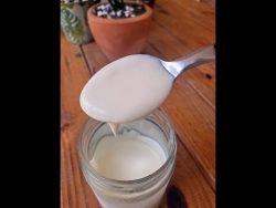 Lactonesa de Ajo 🥛🧄🤓 #shorts #Lactonesa #ajo #salsa #receta #facil #comida #vlog #fyp #LunesSinCarne