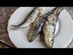 Sardinas a la sal,fácil y rico con Thermomix