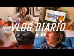 vlog: ¿por qué he desaparecido?, Compra MERCADONA, receta THERMOMIX, serie del momento