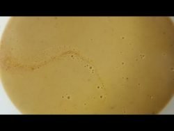 Crema de espárragos blancos en conserva, fácil y rico con Thermomix