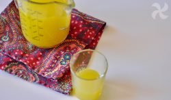 Fanta de Naranja en Thermomix