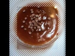 organic coffee pudding Thermomix