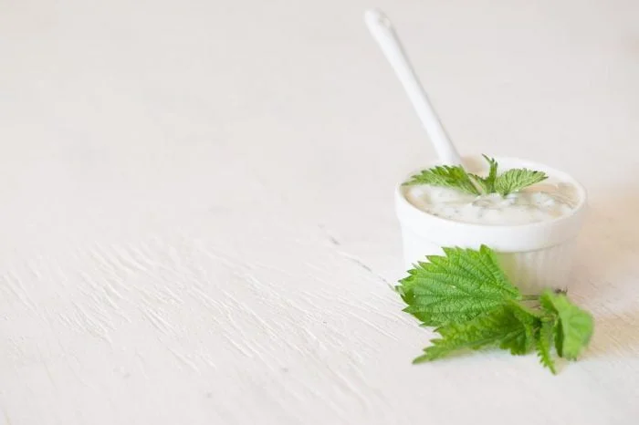 Deliciosas recetas con yogur griego para toda la familia