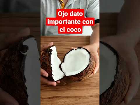 Descubre si tú puedes comer coco #datointeresante #receta #coco