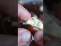 BOMBÓN FÁCIL Y SANO🥵👍🏽 #receta #recetafit #fitness #cooking #chocolate #food #health