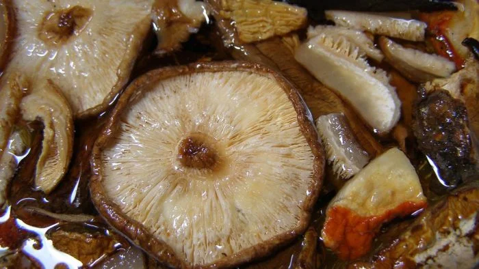 Champiñones asados con patata y chistorra