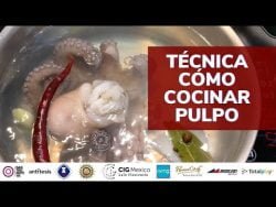 #receta #técnica cómo cocinar pulpo para que quede suave #pulpo #cocciónperfectapulpo