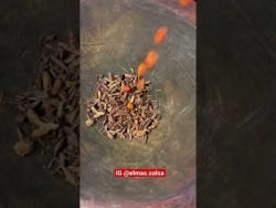 Salsa de Chiltepin y chapulines #salsa #shorts #receta #chiltepin #picante #chapulines