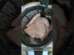 Thermomix美善品 解冻肉类