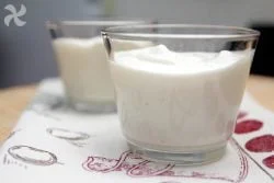 Yogur griego casero en varoma (TM6)