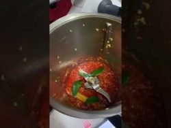 Ayam Berlada Pedas Janji Melayu Thermomix