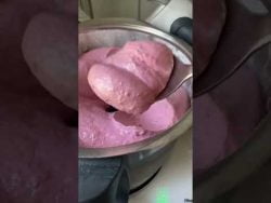 Beerenschaum aus dem Thermomix 🍇 #hotsummer #thermomix #ice