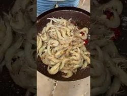 Camarones al disco #taller #receta #rutalanueve #camarones