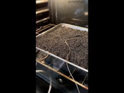 CARBON ACTIVADO CASERO LOW COST #short #shorts #quimica #ciencia #aprender #receta #curiosidad