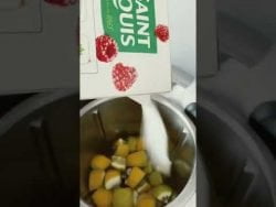 Citronnade thermomix