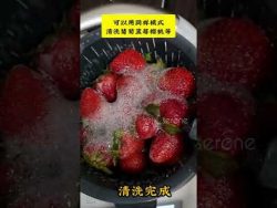 美善品Thermomix tips-清洗水果🍓🫐🍒