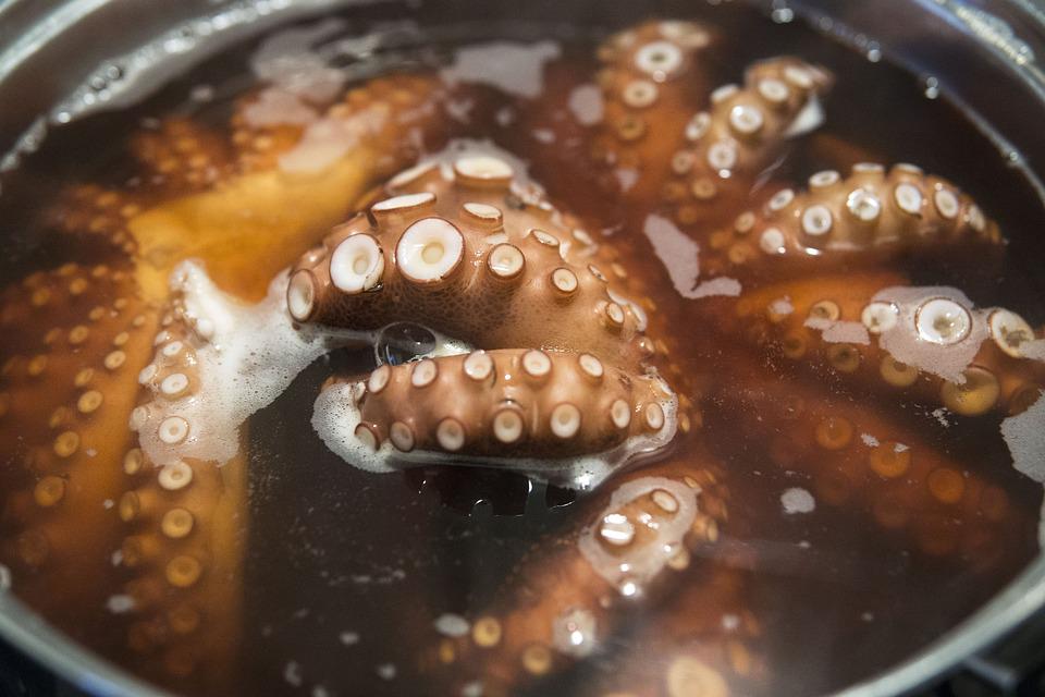 Ideas de recetas con pulpo súper deliciosas y fáciles de hacer | recetástico