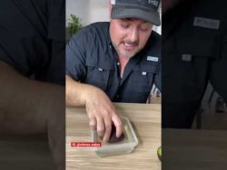 SALSA TIP: como conservar tu aguacate abierto #shorts #tip #aguacate #receta