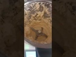 Thermomix TM6 Mantar Kurabiye