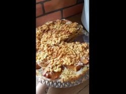 #89 Szybkie ciasto ze śliwkami (gluten free) 🥮 | Taste of thermomix 💚