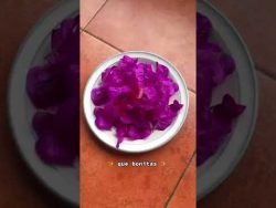 #bugambilia #Receta #asitwas #fyp #foryou #BestFriends #bestie #mejore