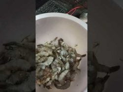 Descongelando los #camarones para preparar un #ceviche #Receta de #cocina Los invito a la #botana