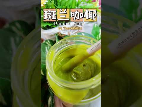 轻松做出 斑兰咖椰 a.k.a Pandan Kaya by Thermomix @ TM 6