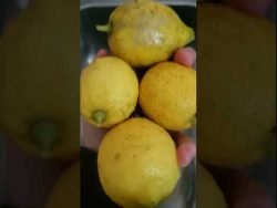 🍋TREMENDA LIMONADA #receta #short #recetafacil