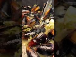 Mejillones al Vino Blanco 🐚🍷 #food #mexico #quechille #usa #foodie #recipe #receta #grill