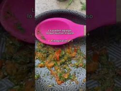 #shorts Lentejas rojas, fácil, rápidas, saludables y delissss! #receta