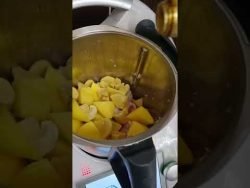 Thermomix 美善品 土豆蘑菇鸡