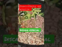 vídeo completo en mi canal #receta #discada #especial