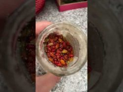 Como conservar ají fácil y en casa #receta #recetas